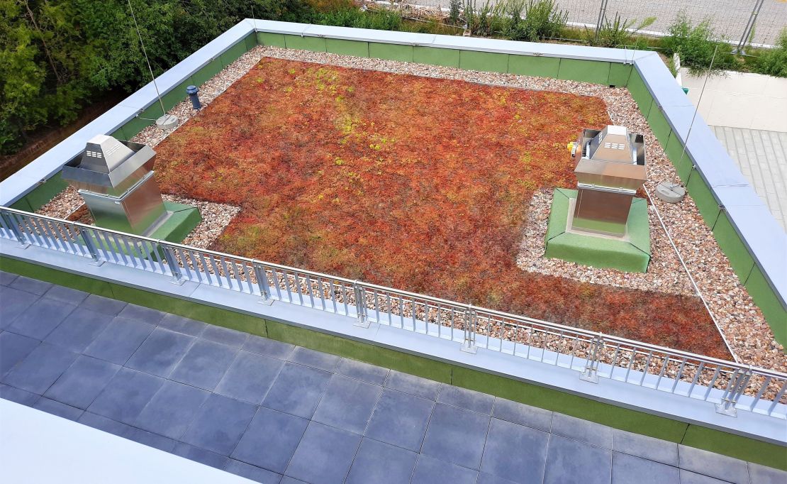 Dachbegrünungen